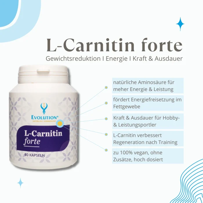 L-Carnitin forte - Image 3