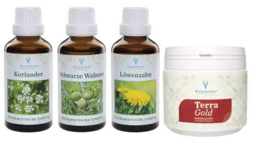 Abbildung des "Entgiften" Sets von EVOLUTION International - bestehend aus den Produkten "Koriander Tinktur", "Schwarze Walnuss Tinktur", "Löwenzahn Tinktur" und der "Terra Gold Mineralerde"