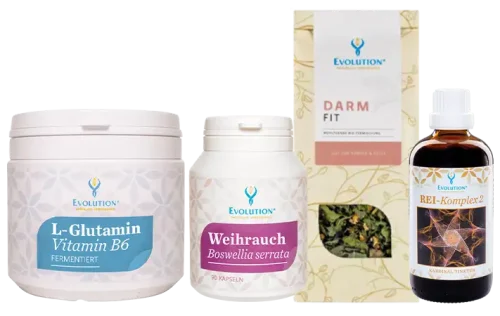 Darstellung des Darmfit Pakets von EVOLUTION International - mit den Produkten: L-Glutamin Vitamin B6, Weihrauch Boswellia serrata, Darm Fit Bio-Kräutertee und Kardinaltinktur REI-Komplex 2