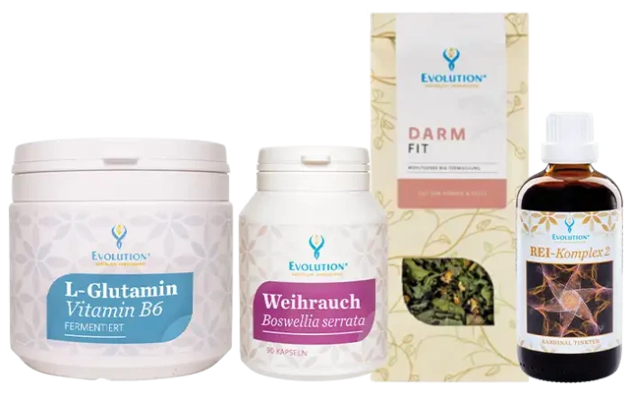 Darstellung des Darmfit Pakets von EVOLUTION International - mit den Produkten: L-Glutamin Vitamin B6, Weihrauch Boswellia serrata, Darm Fit Bio-Kräutertee und Kardinaltinktur REI-Komplex 2