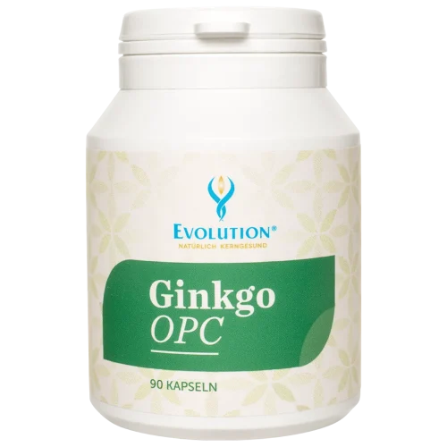 Abbildung des Produkts "Ginkgo OPC" von EVOLUTION International, das in der Ökodose und mit dunkelgrünem Etikett mit 90 Kapseln abgefüllt wird.