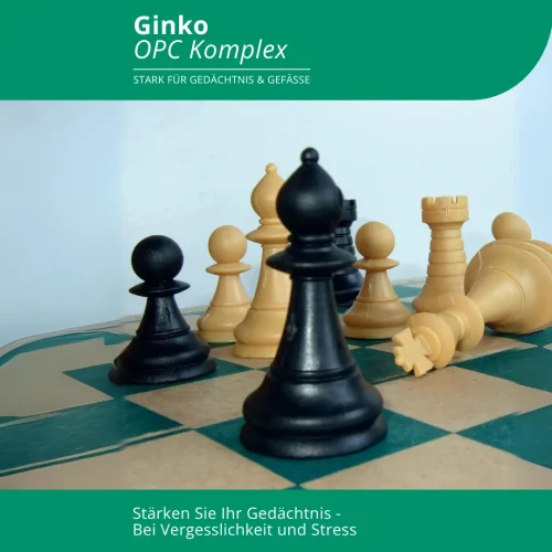 Abbildung eines Schachspiels, das verdeutlichen soll, dass Gingko OPC Komplex die Gedächtnisleistung fördert. Das steht in Zusammenhang mit dem Produkt GIngko OPC Komplex von EVOLUTION International.