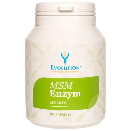 Abbildung des Produkts "MSM Enzym bioaktiv" von EVOLUTION International, das in der weißen Ökodose und mit hellgrünem Etikett mit 90 Kapseln abgefüllt wird.