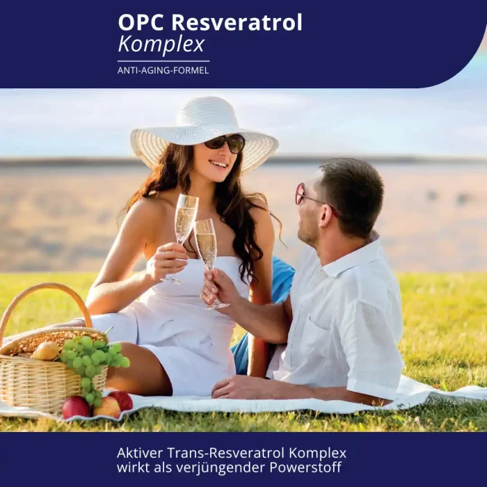Darstellung eines Paares, das das Leben bei einem Picknick genießt. Eine Abbildung der Broschüre des Produkts "OPC Resveratrol Komplex" als Anti Aging Formel von EVOLUTION International
