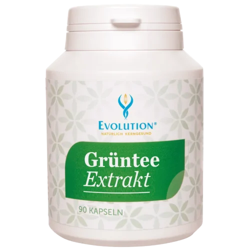 Abbildung des Produkts "GRÜNTEE Extrakt" von EVOLUTION International, das in der Ökodose und mit grünem Etikett mit 90 Kapseln abgefüllt wird.
