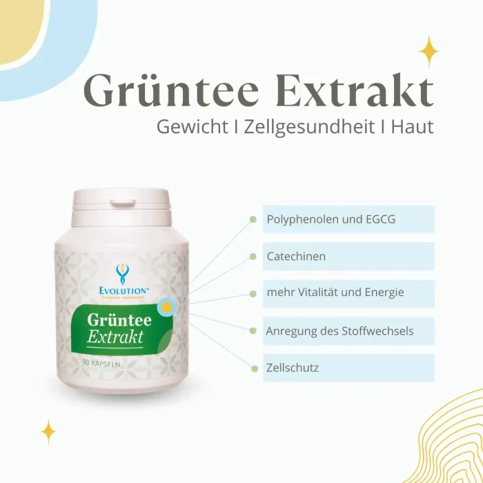 Grüntee Extrakt - Image 3