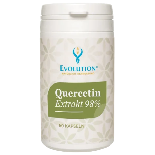 Abbildung des Produkts "Quercetin Extrakt 98 {28b7aec6ed6a03661cb719db26f75cac1a364207f3828813f4cc4efc03059173}" von EVOLUTION International, das in der Ökodose und mit olivgrünem Etikett mit 60 Kapseln abgefüllt wird.