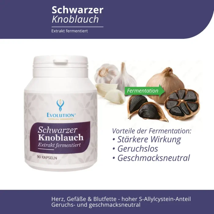 Schwarzer Knoblauch Extrakt fermentiert - Image 4