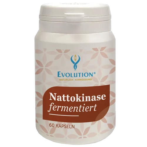 Abbildung des Produkts "Nattokinase fermentiert" von EVOLUTION International, das in der weißen Ökodose und mit rotbraunem Etikett mit 60 Kapseln abgefüllt wird.