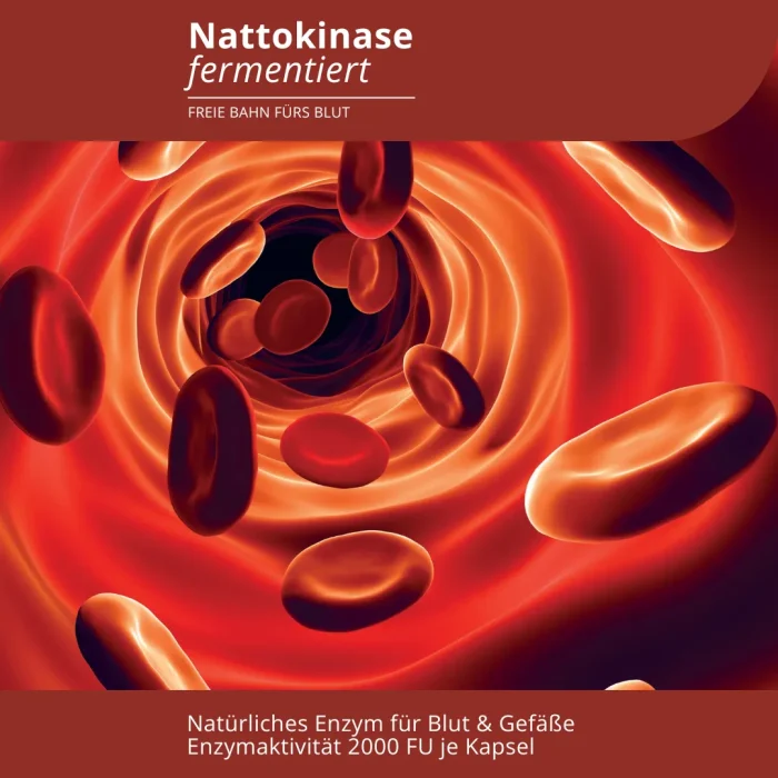 Nattokinase fermentiert - Image 2