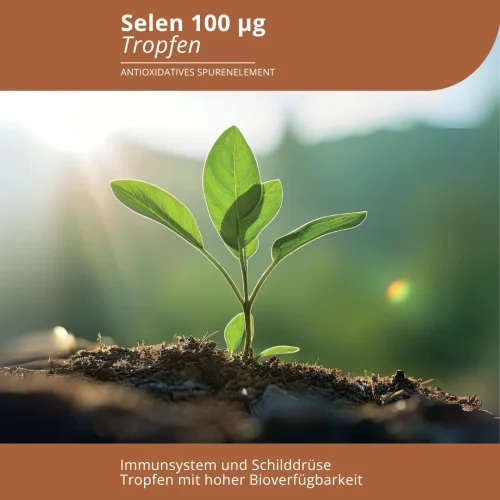 Selen-Tropfen: Pflanze mit Sonnenlicht