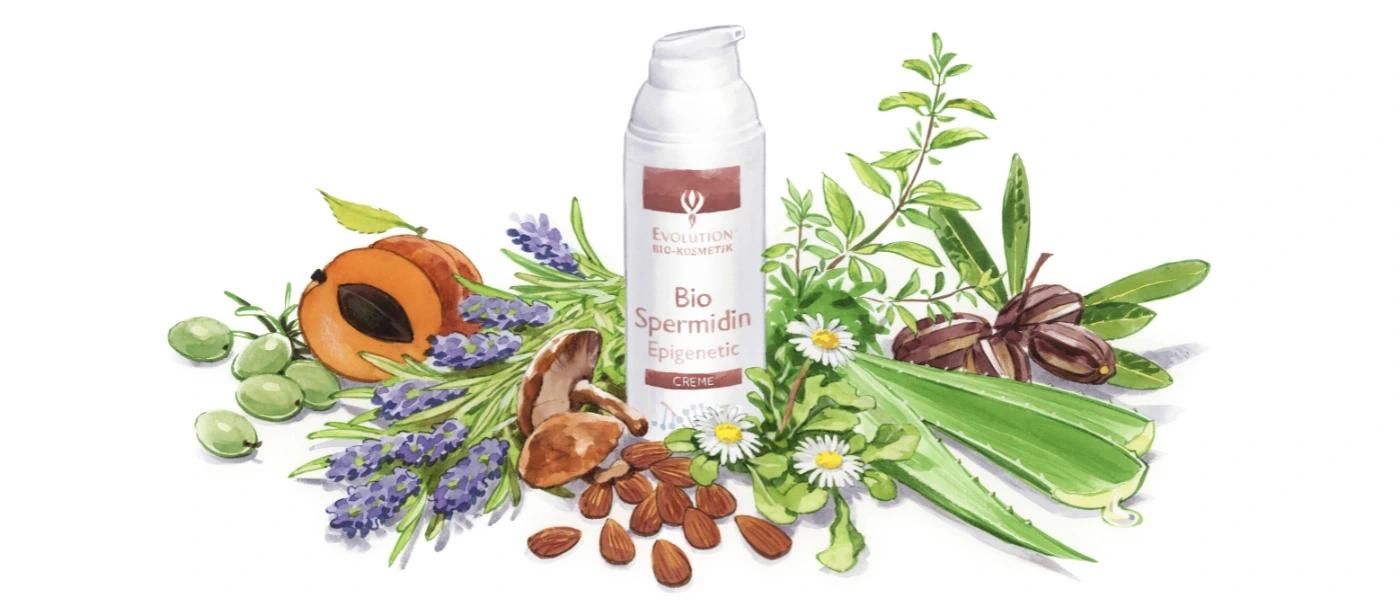 Was ist echte Bio-Kosmetik und warum echte Siegel Orientierung geben
