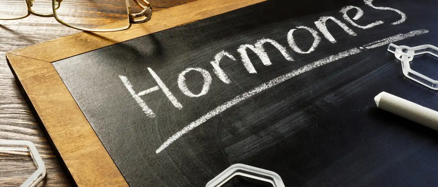 Tafel mit Wort Hormones geschrieben