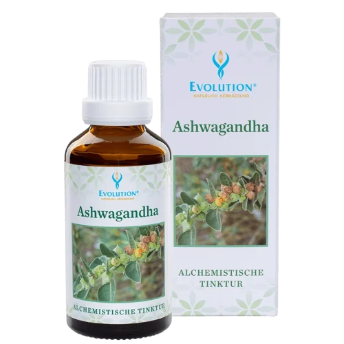 Abbildung des Produkts "Ashwagandha Tinktur" von EVOLUTION International, das in einer kleinen, braunen Glasflasche mit weißem Verschluss abgefüllt wird.