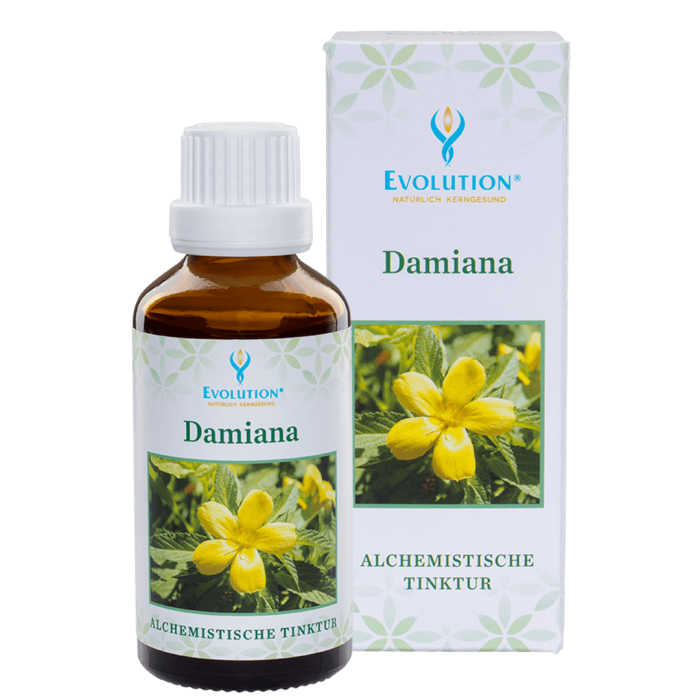 Abbildung des Produkts "Damiana Tinktur" von EVOLUTION International, das in einer kleinen, braunen Glasflasche mit weißem Verschluss abgefüllt wird.