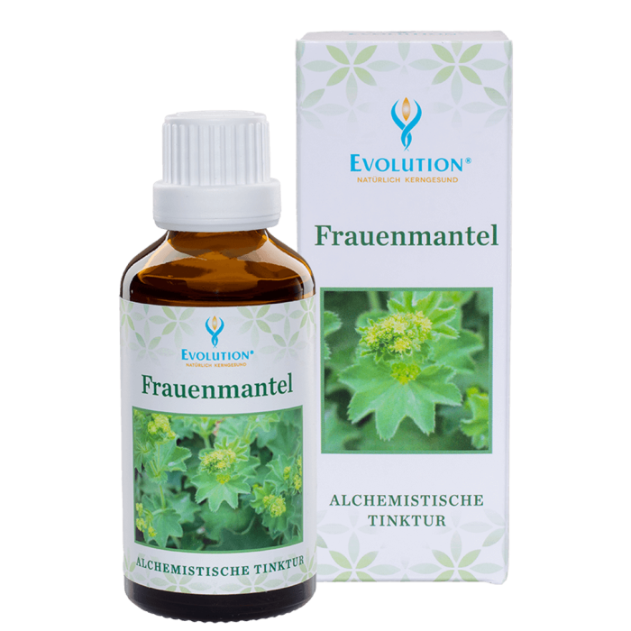 Frauenmantel Tinktur