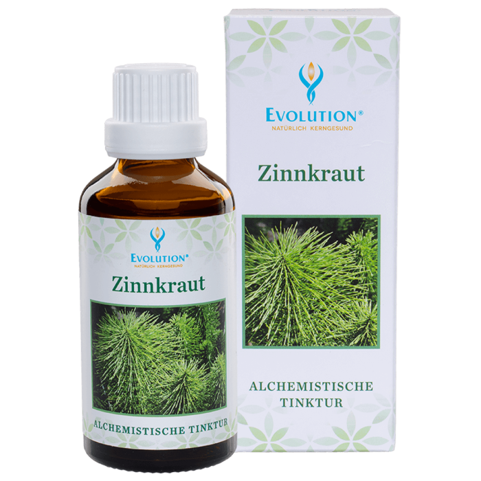 Zinnkraut Tinktur